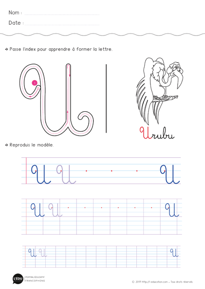 Écrire la lettre u majuscule cursive - Fiche lettre u majuscule à imprimer
